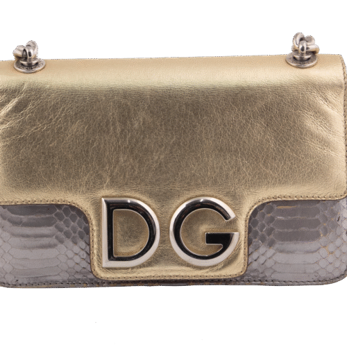 Silver/Gold DG Logo Bi-color Satchel Shoulder Bag