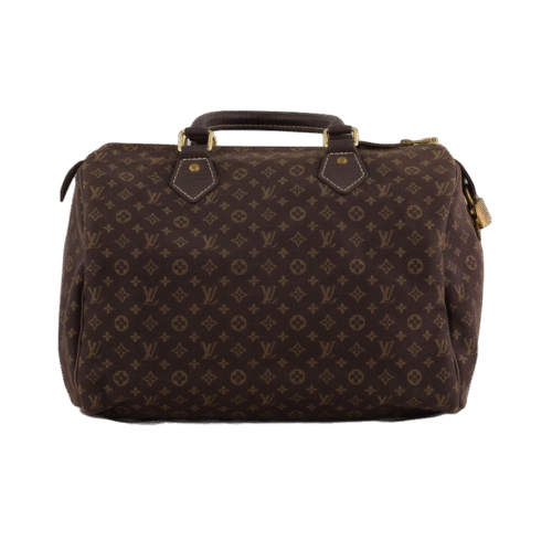 Brown Mini Lin Speedy 30 Top Handle Bag